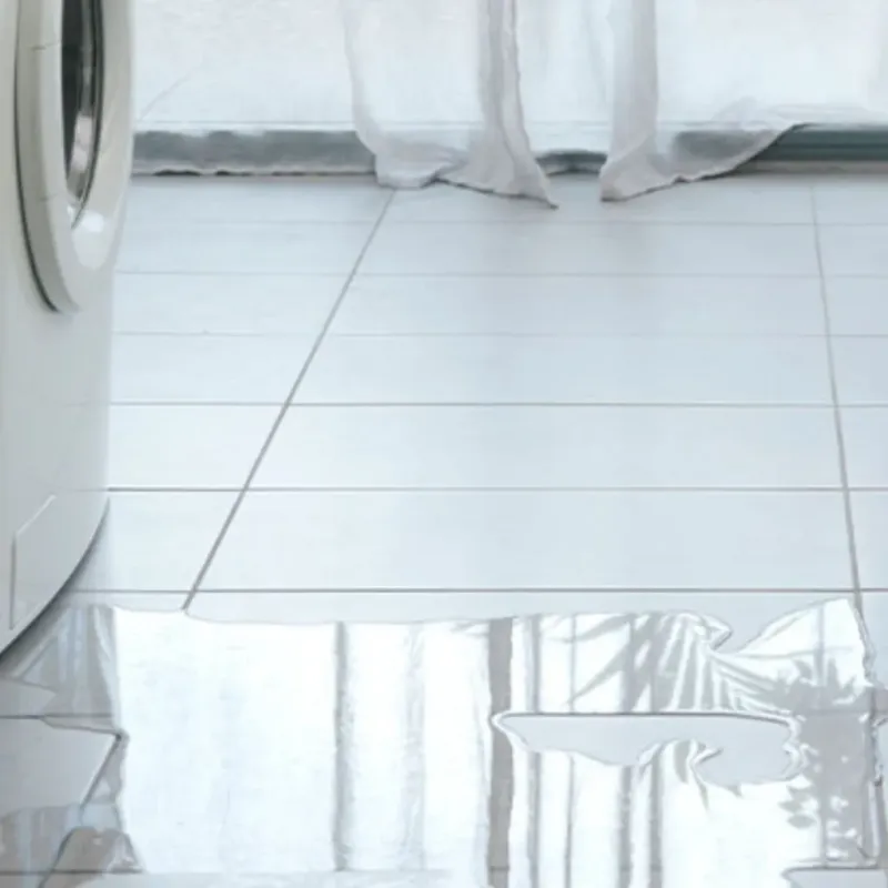 Appliance Leak Cleanup in Santa Maria, CA
